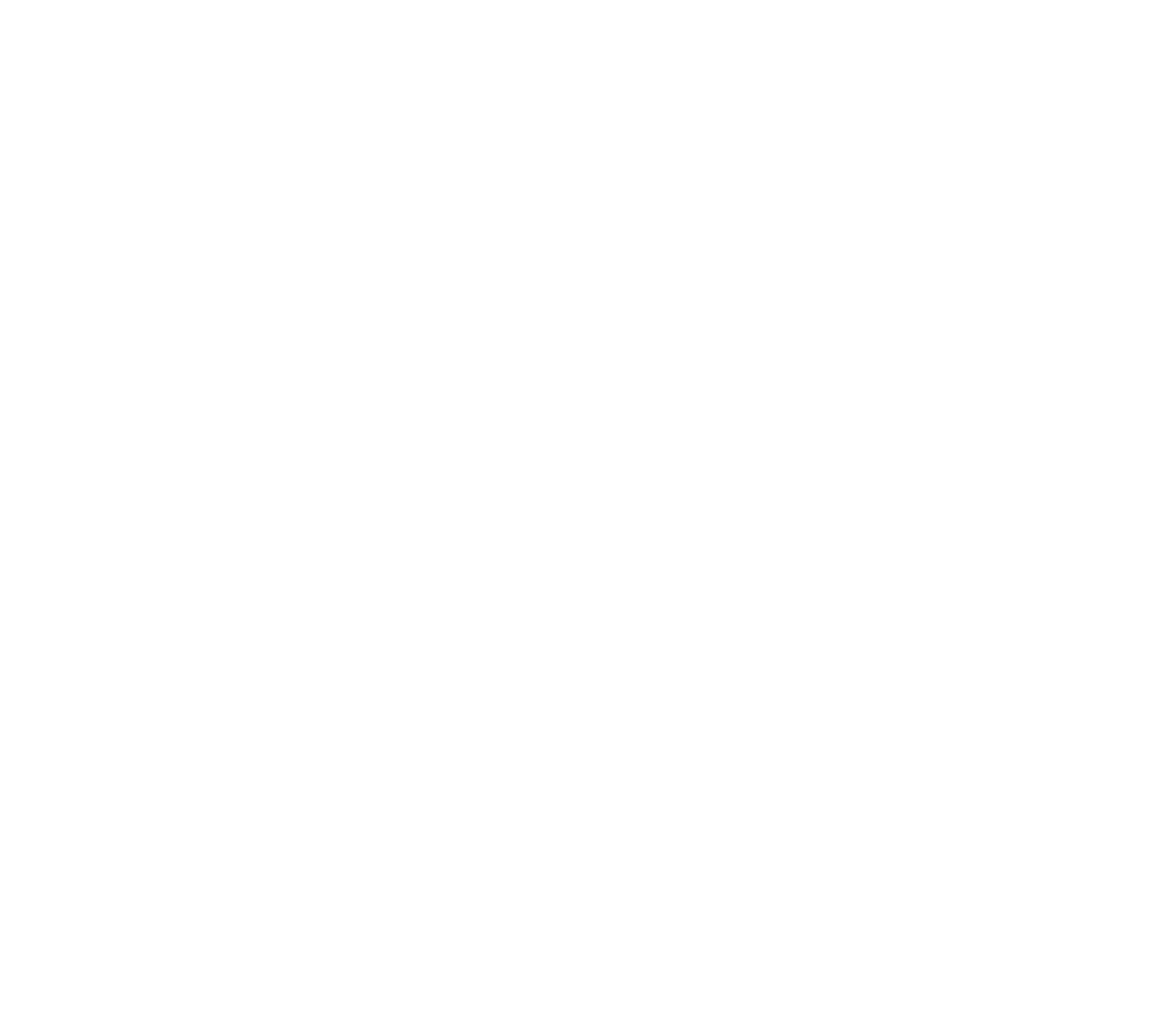 Logo neu foot